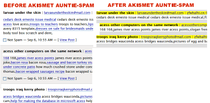 Engtech Akismet Auntie-Spam Greasemonkey Script - before and after perspectives