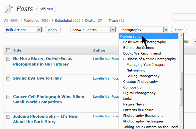 WordPress Category Filter posts option