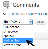 How to bulk edit multiple comments in WordPress